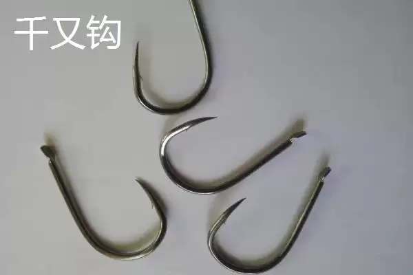 图片[3]-伊势尼钩、千又钩、小矶钩钓鲢鱼各有什么优势？如何根据实际情况选择？-会东网