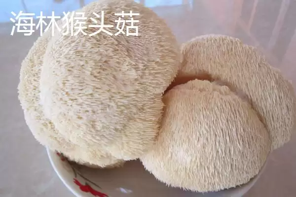 图片[12]-黑龙江省依安县的依安紫花油豆角、依安甜菜等特产，是如何培育出特色的？-会东网