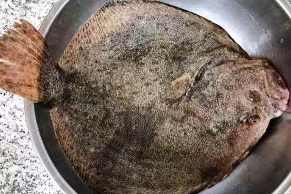 图片[2]-多宝鱼常见病害的防治，根据具体防治对象采取措施真的有效吗？有哪些成功案例？-会东网