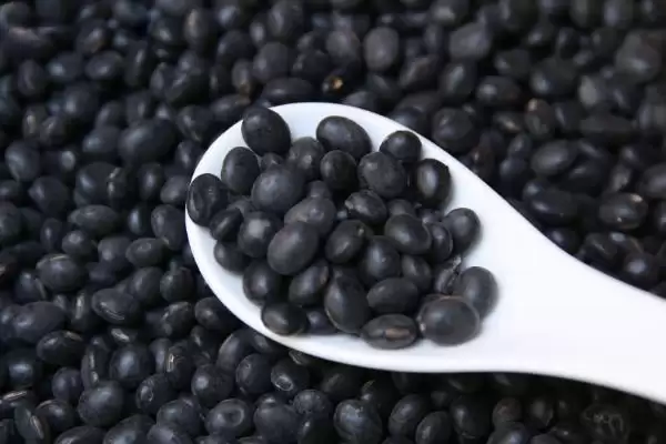 图片[4]-黑豆弄成豆渣再埋入盆内发酵做肥料，具体的发酵过程和注意事项有哪些？-会东网