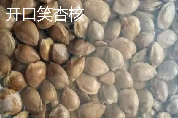 图片[5]-河北容城县的容城绿芦笋、白肉火烧等特产，有哪些独特的风味和价值？-会东网