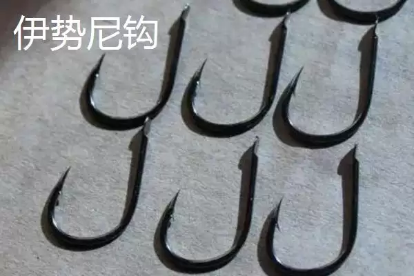 图片[2]-伊势尼钩、千又钩、小矶钩钓鲢鱼各有什么优势？如何根据实际情况选择？-会东网