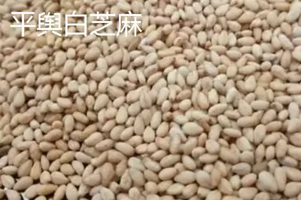 图片[2]-河南省驻马店市的平舆白芝麻、正阳三黄鸡、正阳花生等特产，是如何成为当地特色的？-会东网