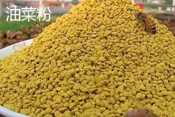 图片[7]-玫瑰花粉以玫瑰花瓣制成是指什么？-会东网