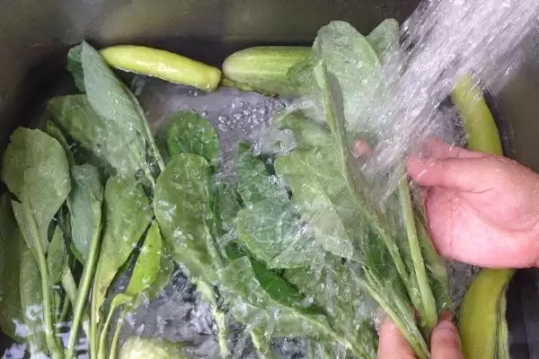 图片[3]-降低蔬菜农药残留有哪些有效方法？-会东网
