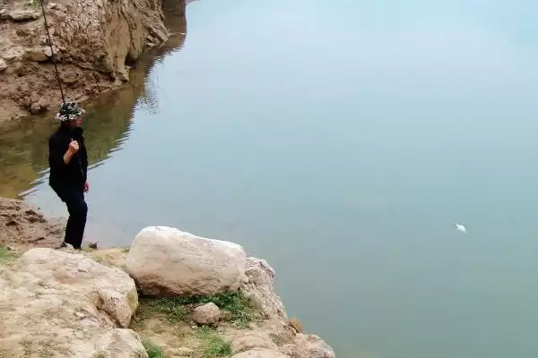 图片[3]-用鸡肝钓黄颡鱼如何打窝诱鱼？-会东网
