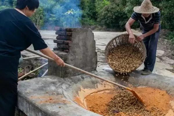 图片[3]-农村有哪6种加工小项目可推荐？-会东网