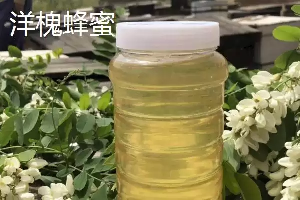 图片[3]-紫云英蜂蜜和洋槐蜜色泽口感？-会东网