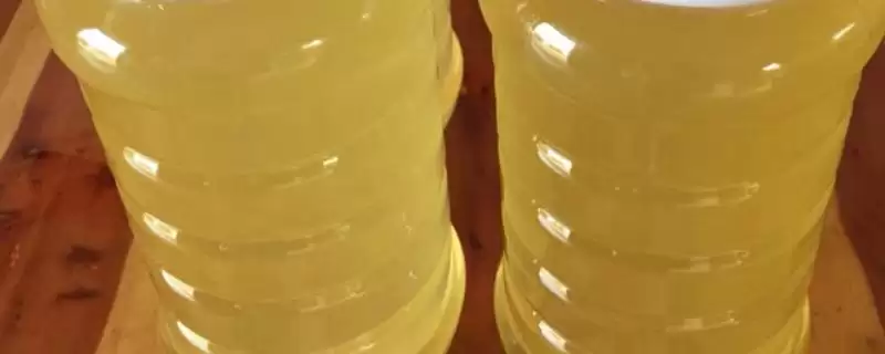 紫云英蜂蜜为何是易结晶的蜜种？-会东网