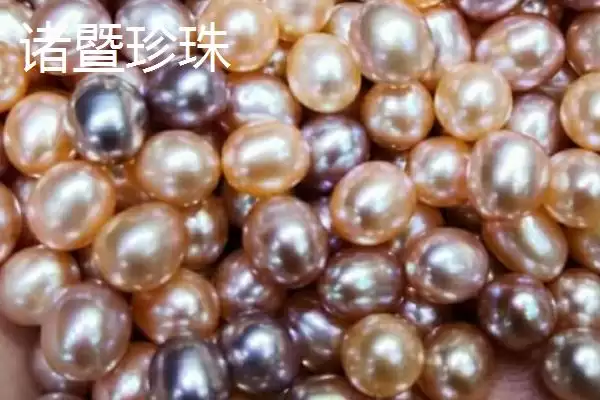 图片[9]-浙江省诸暨市有何特产同山烧？-会东网