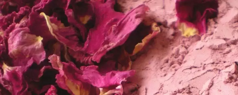 玫瑰花粉以玫瑰花瓣制成是指什么？-会东网