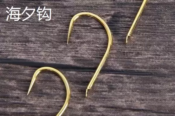 图片[4]-并继竿由每节竿体插连是指什么？-会东网