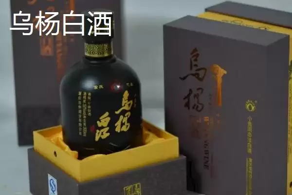图片[5]-重庆市忠县有何特产柑橘豆腐？-会东网
