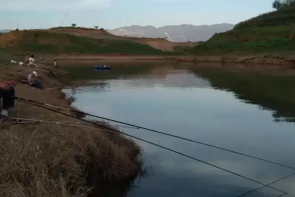图片[7]-用鸡肝钓黄颡鱼如何打窝诱鱼？-会东网