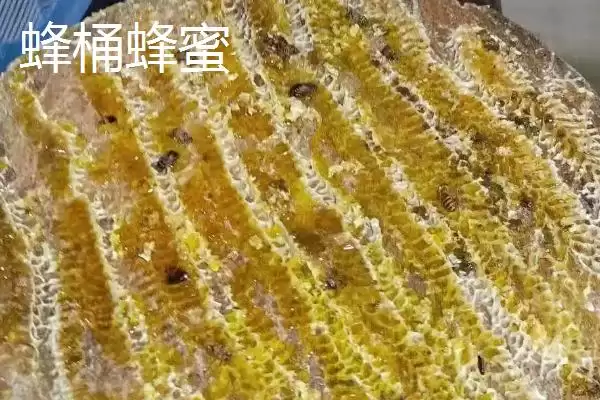 图片[3]-四川省万源市有何土特产品特产？-会东网