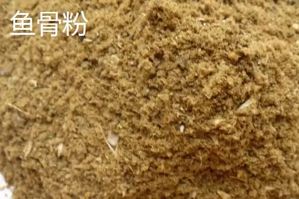 图片[3]-磷肥作为主要养分为磷元素是指什么？-会东网