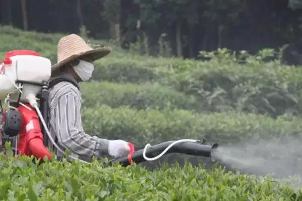 图片[6]-氯氰菊酯乳油针对不同害虫如何使用？-会东网