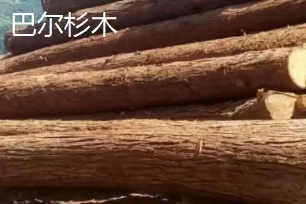 图片[8]-鱼漂作为钓鱼基础工具是指什么？-会东网