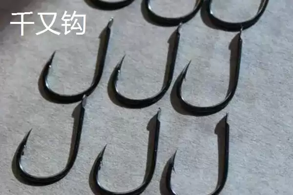图片[4]-伊豆钓鲫鱼用几号钩建议是多少？-会东网