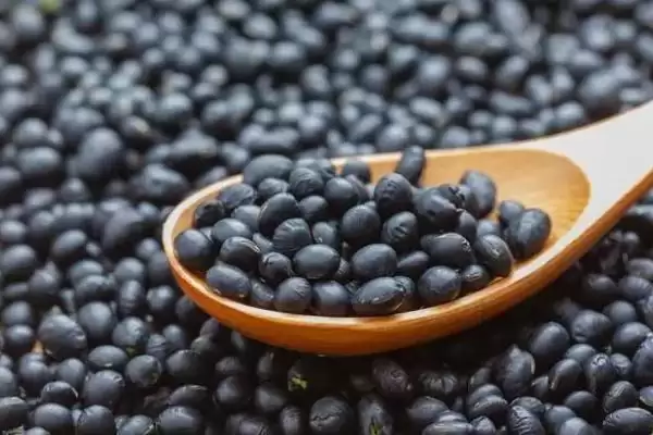 图片[4]-黑豆有苦味是因含生物碱的原因？-会东网
