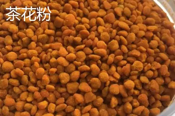 图片[8]-玫瑰花粉以玫瑰花瓣制成是指什么？-会东网