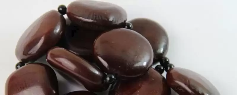 平安豆是九龙藤植物的种子介绍？-会东网