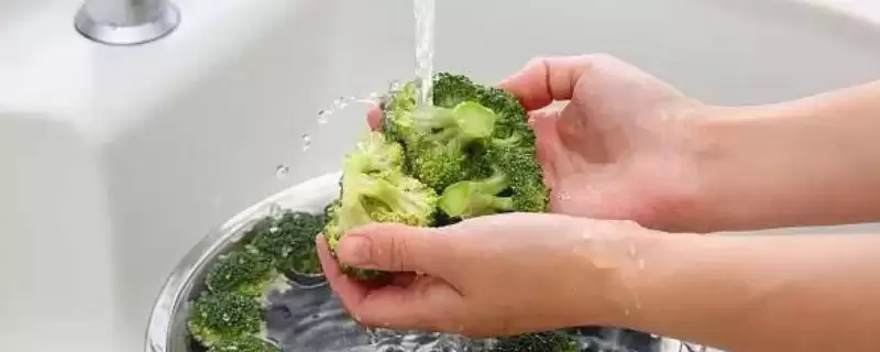 降低蔬菜农药残留有哪些有效方法？-会东网