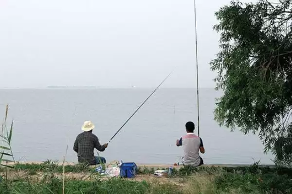 图片[8]-野钓鲫鱼4、9、10月为何好钓？-会东网