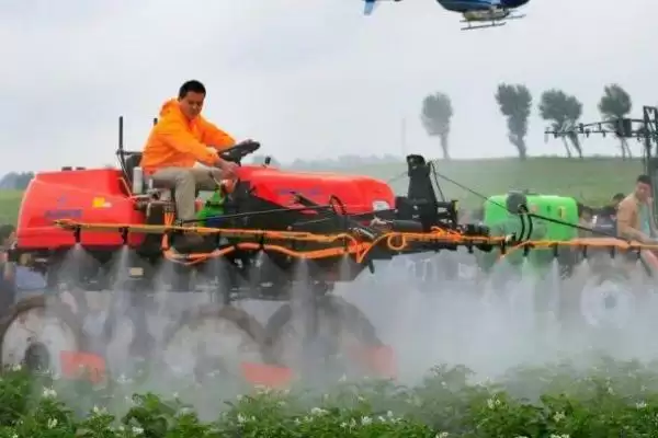 图片[2]-马铃薯瓢虫可采用哪些防虫网或药物防治？-会东网