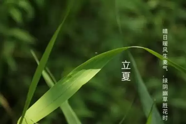 图片[2]-从气候角度看立夏是否算夏天的开始？-会东网