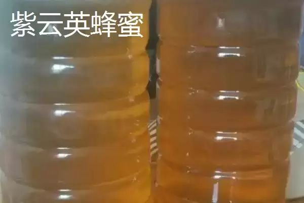 图片[4]-紫云英蜂蜜和洋槐蜜色泽口感？-会东网
