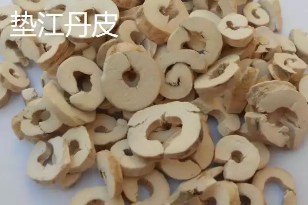 图片[3]-重庆市垫江县有何特产丹皮乡？-会东网