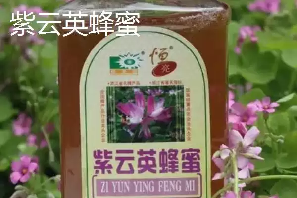 图片[4]-紫云英蜂蜜为何是易结晶的蜜种？-会东网