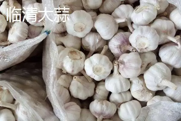 图片[2]-山东省临清市有哪些传统名吃特产？-会东网
