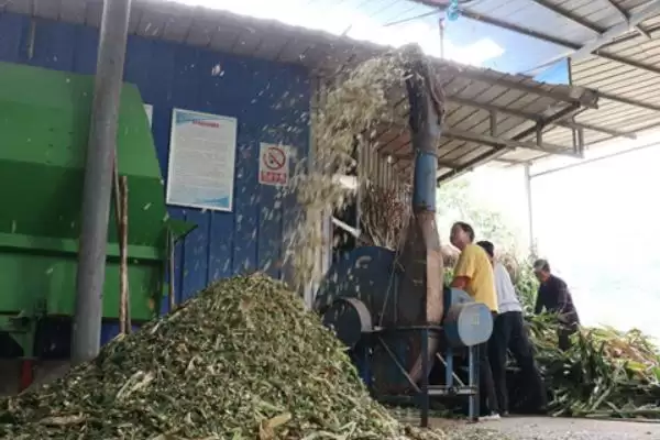 图片[8]-农村有哪6种加工小项目可推荐？-会东网