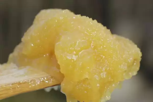 图片[4]-紫云英蜂蜜和洋槐蜜蜜源差异？-会东网