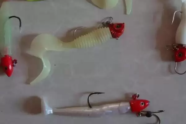 图片[6]-钓鳟鱼作为肉食性鱼选何荤饵？-会东网