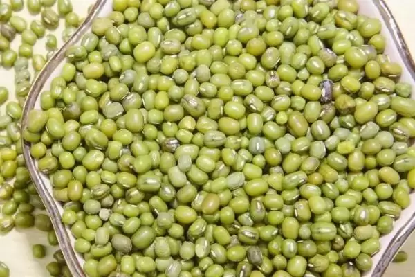 图片[3]-绿豆豆荚和种子呈何种形态特征？-会东网