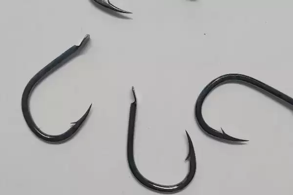 图片[2]-小矶钩因钩柄短宽为何用的人少？-会东网