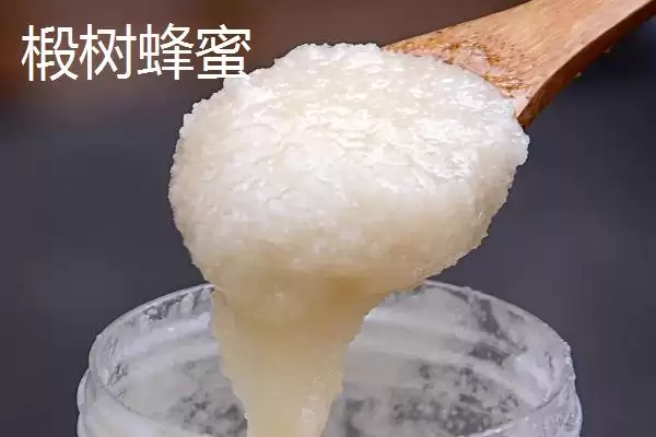 图片[5]-紫云英蜂蜜为何是易结晶的蜜种？-会东网