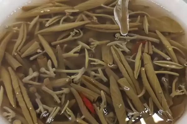 图片[8]-哪些特色蔬菜品种具有种植前景呢？-会东网
