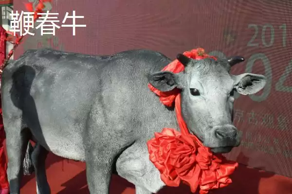 图片[3]-立春有哪些如早上燃放鞭炮迎春的习俗？-会东网