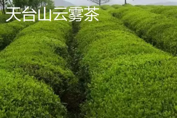 图片[10]-浙江省诸暨市有何特产同山烧？-会东网