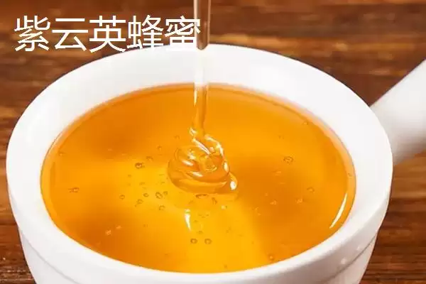 图片[2]-紫云英蜂蜜和洋槐蜜蜜源差异？-会东网
