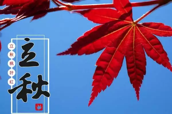 图片[6]-立秋作为一年中第十三个节气代表着什么？-会东网