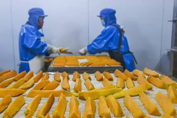 图片[2]-农村有哪6种加工小项目可推荐？-会东网