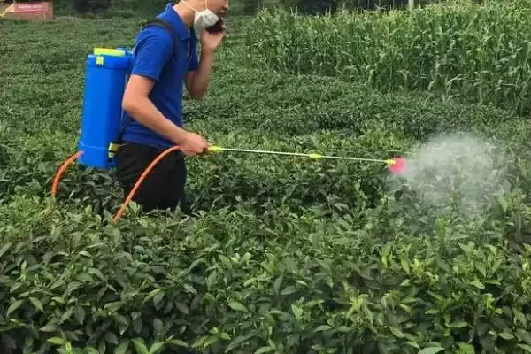 图片[6]-来福灵针对不同病虫害如何使用？-会东网