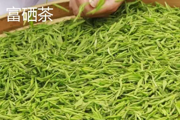 图片[2]-四川省万源市有何土特产品特产？-会东网