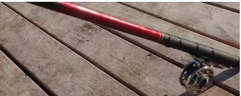 性价比高的鲟鱼竿有哪十种推荐？-会东网