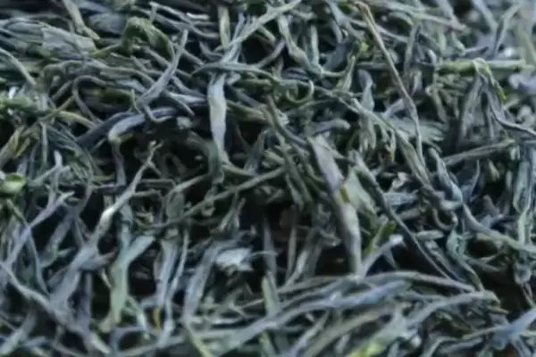 图片[2]-婺源绿茶价格一斤最低多少钱？-会东网